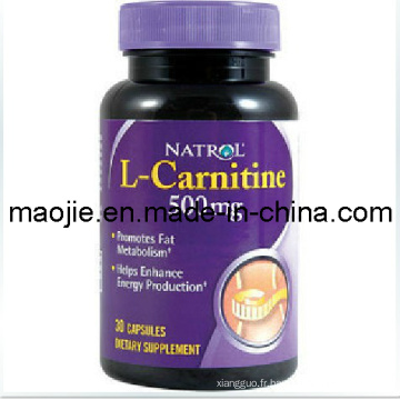 Natrol L-Carnitine Fat Burning poids perte minceur Capsule (MJ - 500 mg * 30caps)